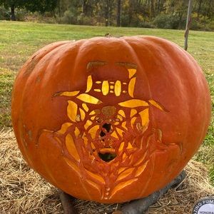 Meet your Posher, Sandeep